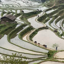 Yunhe Rice Terraces - Lin'an