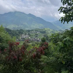 Yunhe Rice Terraces - Lin'an