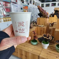 Lishui Botanical Garden - Lishui