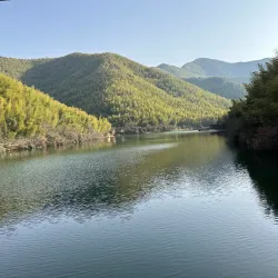 Nanshan Bamboo Sea - Liyang