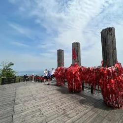 Nanshan Bamboo Sea - Liyang