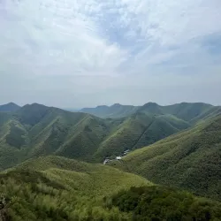 Nanshan Bamboo Sea - Liyang