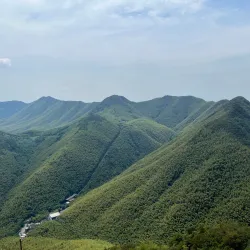 Nanshan Bamboo Sea - Liyang