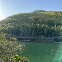 Nanshan Bamboo Sea - Liyang