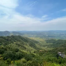 Nanshan Bamboo Sea - Liyang