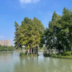 Qingfeng Park - Liyang
