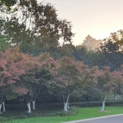 Qingfeng Park - Liyang