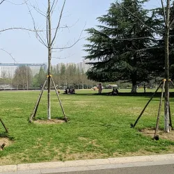 Qingfeng Park - Liyang