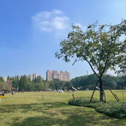 Qingfeng Park - Liyang