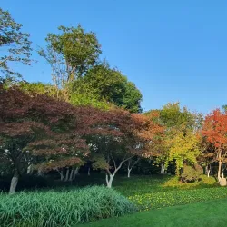 Qingfeng Park - Liyang