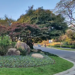 Qingfeng Park - Liyang