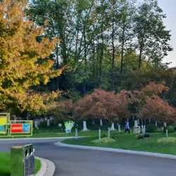 Qingfeng Park - Liyang