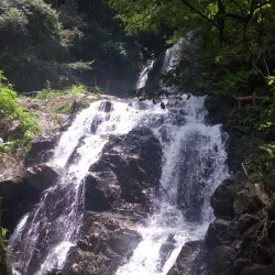 Longyan People's Park - Longyan