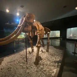 Luoyang Museum - Luoyang