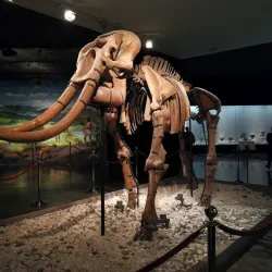 Luoyang Museum - Luoyang