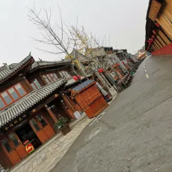 Peony Garden - Luoyang