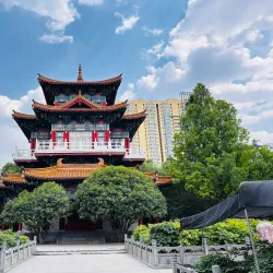 Peony Garden - Luoyang