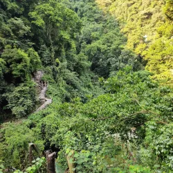 Dinghu Mountain Scenic Area - Meizhou