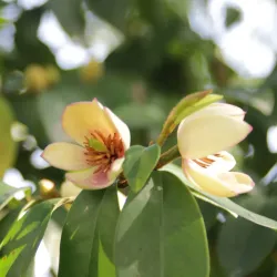 Meizhou West Lake Park - Meizhou