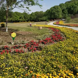 Fule Mountain Park - Mianyang