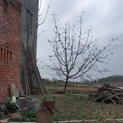 Jiangyou Ancient Town - Mianyang