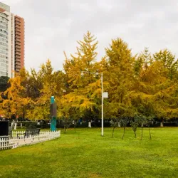 Mianyang People's Park - Mianyang