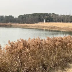 Qinglong Lake Park - Mianyang