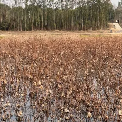 Qinglong Lake Park - Mianyang