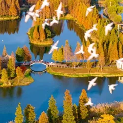 Qingxi Park - Nanchong