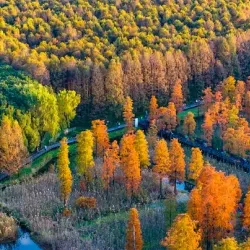 Qingxi Park - Nanchong