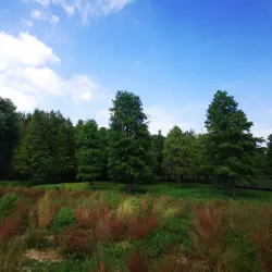 Qingxi Park - Nanchong