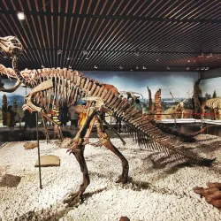 Nanjing Museum - Nanjing