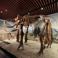 Nanjing Museum - Nanjing