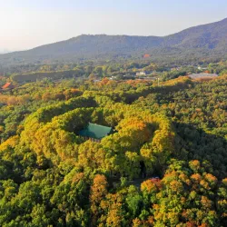 Purple Mountain (Zijin Shan) - Nanjing