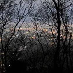 Purple Mountain (Zijin Shan) - Nanjing