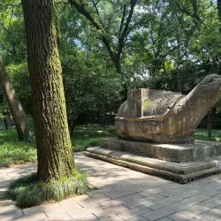 Purple Mountain (Zijin Shan) - Nanjing