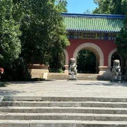 Purple Mountain (Zijin Shan) - Nanjing