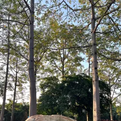 Nanhu Lake Park - Nanning