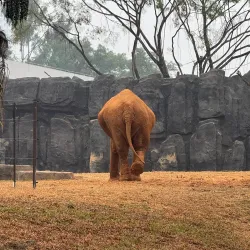 Nanning Zoo - Nanning