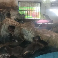 Nanning Zoo - Nanning