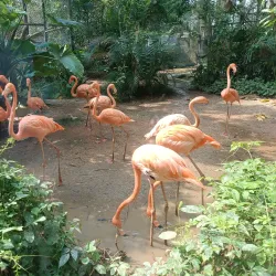 Nanning Zoo - Nanning