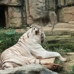 Nanning Zoo - Nanning