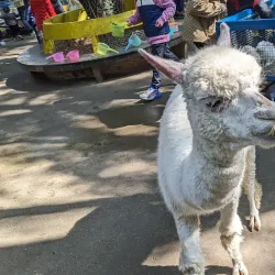 Nanning Zoo - Nanning