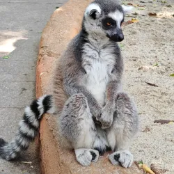 Nanning Zoo - Nanning