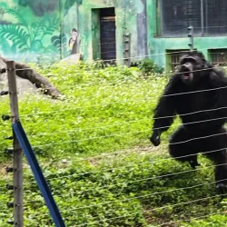 Nanning Zoo - Nanning