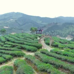 Nanping Ancient City Wall - Nanping