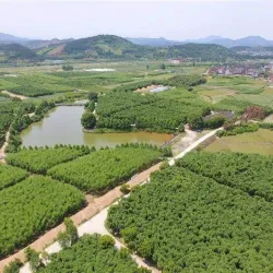 Nanping Ancient City Wall - Nanping