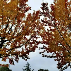 Nanping Ancient City Wall - Nanping
