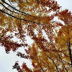 Nanping Ancient City Wall - Nanping