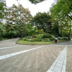 Nanping People's Park - Nanping